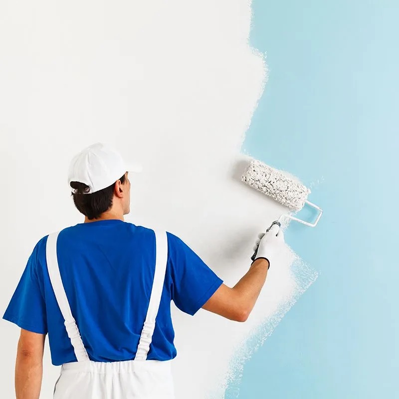 Bahriye Üçok iç cephe boyama